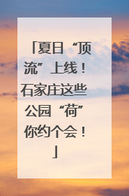 夏日“顶流”上线！石家庄这些公园“荷”你约个会！
