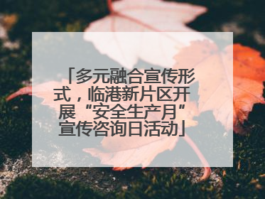 多元融合宣传形式，临港新片区开展“安全生产月”宣传咨询日活动
