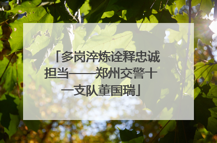 多岗淬炼诠释忠诚担当——郑州交警十一支队董国瑞