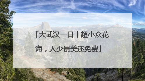 大武汉一日丨超小众花海，人少景美还免费