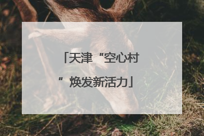 天津“空心村”焕发新活力