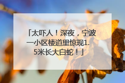 太吓人！深夜，宁波一小区楼道里惊现1.5米长大白蛇！