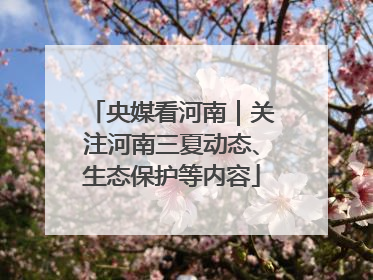 央媒看河南｜关注河南三夏动态、生态保护等内容
