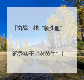奋战一线“领头雁” 躬身实干“老黄牛”
