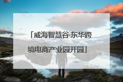 威海智慧谷·东华跨境电商产业园开园