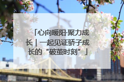 心向暖阳·聚力成长｜一起见证骄子成长的“破茧时刻”