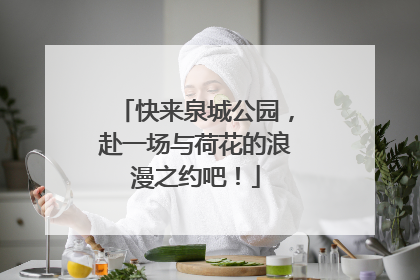 快来泉城公园，赴一场与荷花的浪漫之约吧！