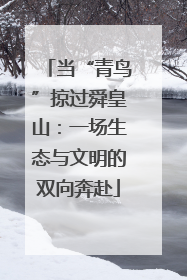 当“青鸟”掠过舜皇山：一场生态与文明的双向奔赴