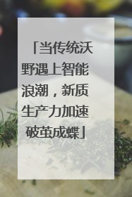 当传统沃野遇上智能浪潮，新质生产力加速破茧成蝶