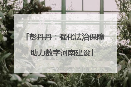 彭丹丹：强化法治保障 助力数字河南建设