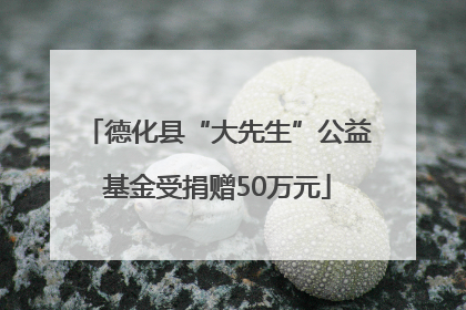 德化县“大先生”公益基金受捐赠50万元