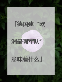 德国建“欧洲最强军队”意味着什么