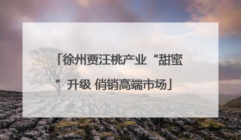 徐州贾汪桃产业“甜蜜”升级 俏销高端市场