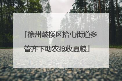徐州鼓楼区拾屯街道多管齐下助农抢收夏粮