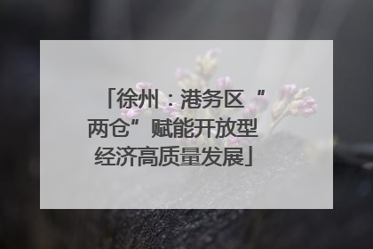 徐州：港务区“两仓”赋能开放型经济高质量发展