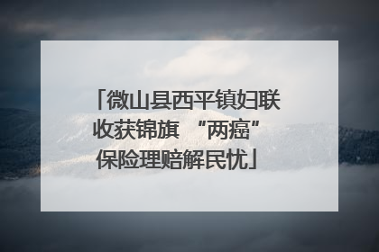 微山县西平镇妇联收获锦旗 “两癌”保险理赔解民忧