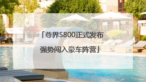 尊界S800正式发布 强势闯入豪车阵营