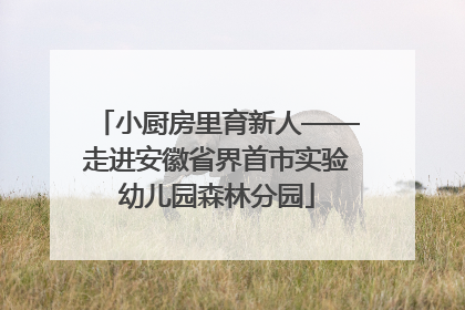 小厨房里育新人——走进安徽省界首市实验幼儿园森林分园