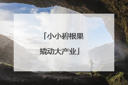 小小碧根果撬动大产业