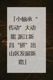 小轴承“传动”大动能 浙江新昌“拼”出山区发展新路