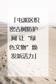 屯溪区织密古树防护网 让“绿色文物”焕发新活力
