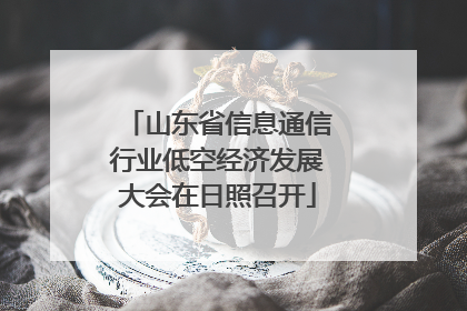 山东省信息通信行业低空经济发展大会在日照召开