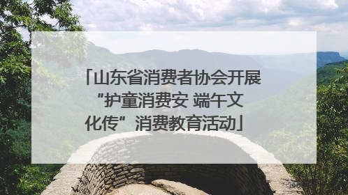 山东省消费者协会开展 “护童消费安 端午文化传”消费教育活动