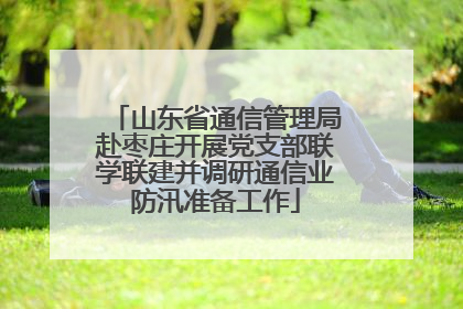 山东省通信管理局赴枣庄开展党支部联学联建并调研通信业防汛准备工作