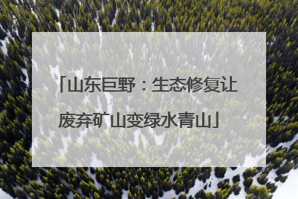 山东巨野：生态修复让废弃矿山变绿水青山