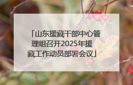 山东援藏干部中心管理组召开2025年援藏工作动员部署会议