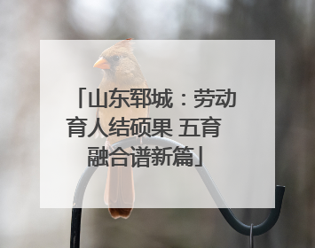 山东郓城：劳动育人结硕果 五育融合谱新篇