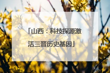 山西：科技探源激活三晋历史基因