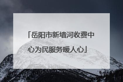 岳阳市新墙河收费中心为民服务暖人心