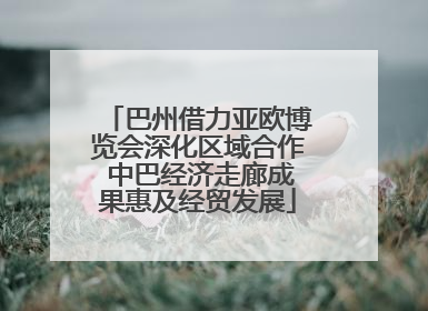 巴州借力亚欧博览会深化区域合作 中巴经济走廊成果惠及经贸发展