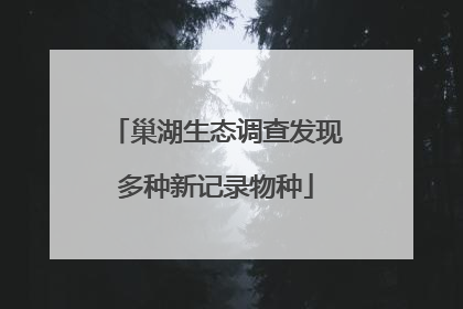 巢湖生态调查发现多种新记录物种