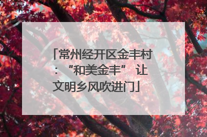 常州经开区金丰村：“和美金丰” 让文明乡风吹进门