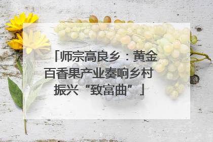 师宗高良乡：黄金百香果产业奏响乡村振兴“致富曲”