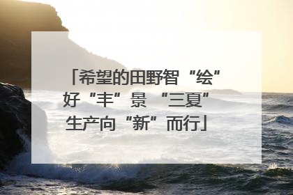 希望的田野智“绘”好“丰”景 “三夏”生产向“新”而行