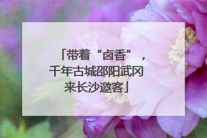 带着“卤香”，千年古城邵阳武冈来长沙邀客