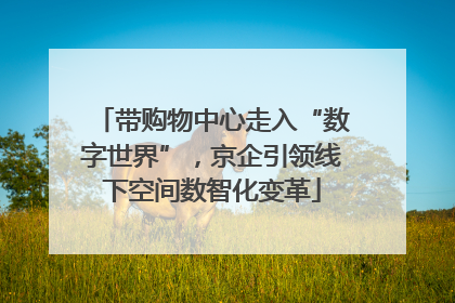 带购物中心走入“数字世界”，京企引领线下空间数智化变革