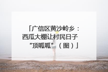 广信区黄沙岭乡：西瓜大棚让村民日子“顶呱呱”（图）