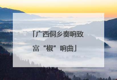 广西侗乡奏响致富“椒”响曲