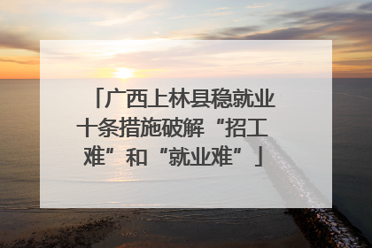 广西上林县稳就业十条措施破解“招工难”和“就业难”
