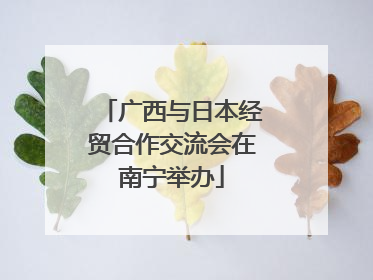 广西与日本经贸合作交流会在南宁举办