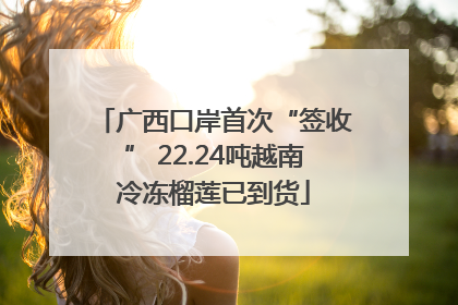 广西口岸首次“签收” 22.24吨越南冷冻榴莲已到货