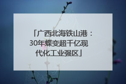 广西北海铁山港：30年蝶变超千亿现代化工业强区