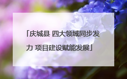 庆城县 四大领域同步发力 项目建设赋能发展