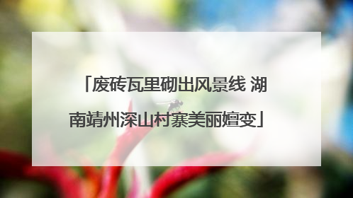 废砖瓦里砌出风景线 湖南靖州深山村寨美丽嬗变