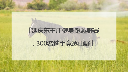 延庆东王庄健身跑越野赛，300名选手竞逐山野