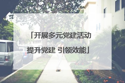 开展多元党建活动 提升党建 引领效能